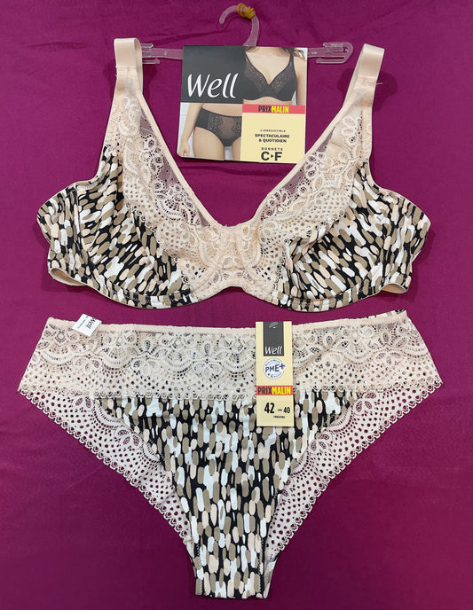WELL ensemble