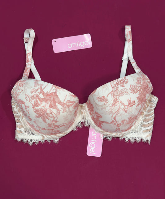 🇫🇷Antigel Rose de Jouy